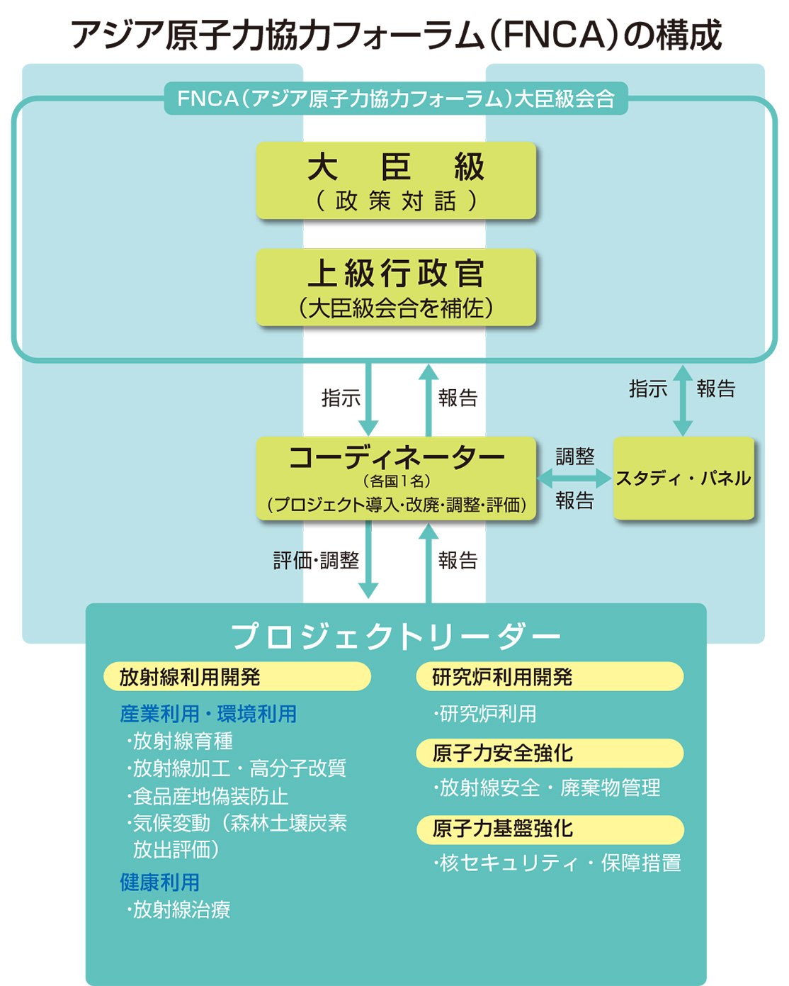 FNCA̘gg