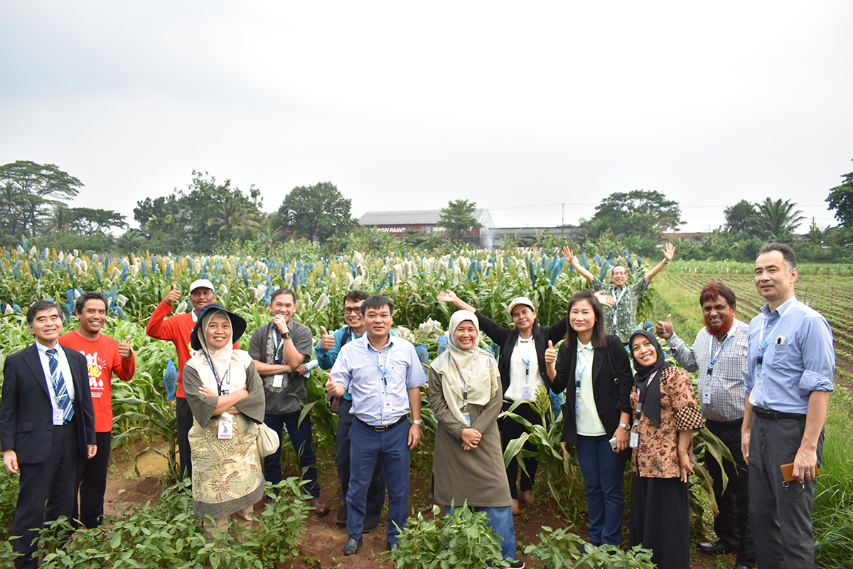 �e�N�j�J���r�W�b�g�̗l�q