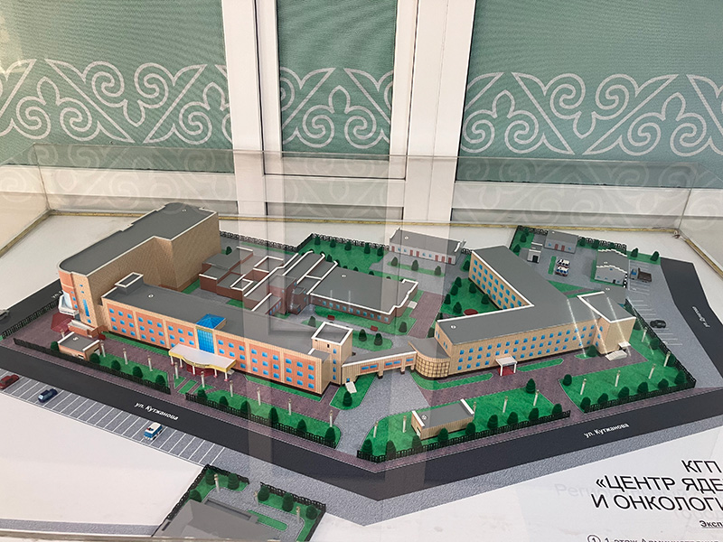 �e�N�j�J���r�W�b�g�̗l�q