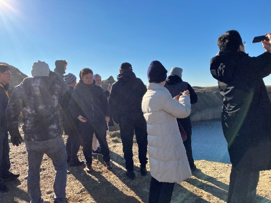 �e�N�j�J���r�W�b�g�̗l�q